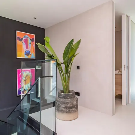 House Of Cork And Ivy - By Wehost * Câmara de Lobos